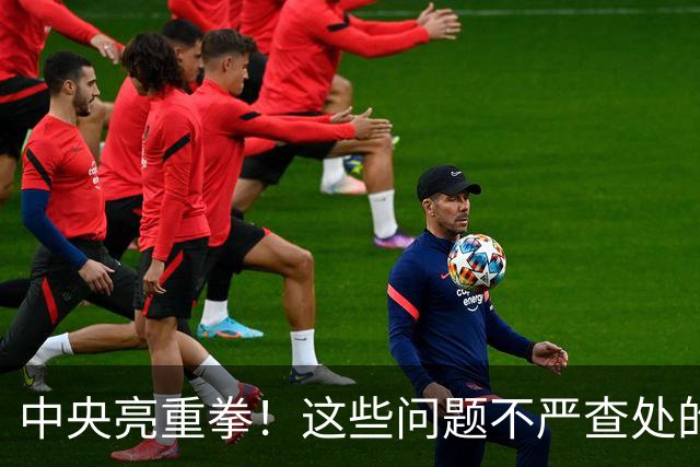 中央亮重拳！这些问题不严查处的，直接追究地方领导责任！