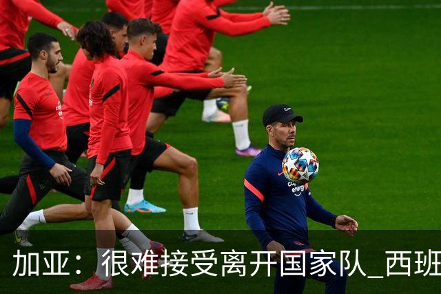 加亚：很难接受离开国家队 西班牙将踢出精彩世界杯