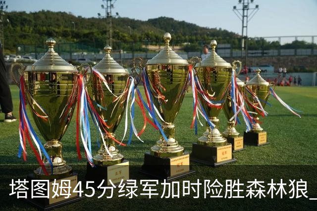 塔图姆45分绿军加时险胜森林狼 步行者克奇才
