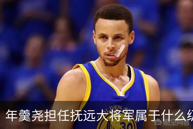 年羹尧担任抚远大将军属于什么级别？与大学士和军机大臣相比如何？