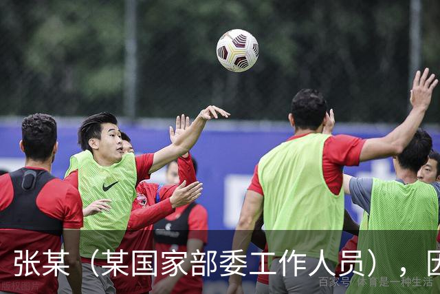 张某（某国家部委工作人员），因个人矛盾投靠境外间谍情报机关，违规下载、拍摄、拷贝涉密文件并秘密录音，窃取近30万份，12人失职被处分