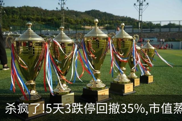 杀疯了!5天3跌停回撤35%,市值蒸发超43亿，8.6万股民全套！