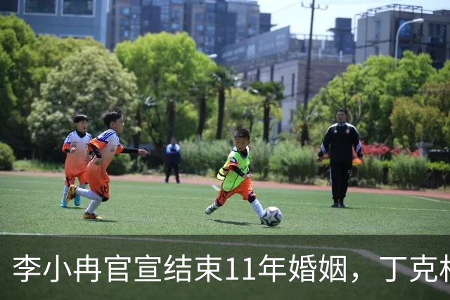 李小冉官宣结束11年婚姻，丁克相伴十一载劳燕分飞，离婚声明中藏着哪些现实考量？