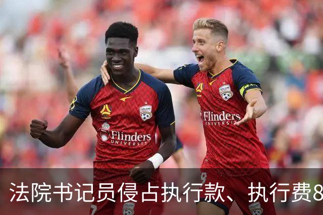 法院书记员侵占执行款、执行费86.3万元获刑，执行局局长及分管副院长因监管不力被党内警告