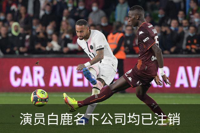 演员白鹿名下公司均已注销