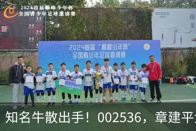 知名牛散出手！002536，章建平大举买入