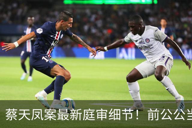 蔡天凤案最新庭审细节！前公公当众辱骂五个字，暴露全部歹毒心思