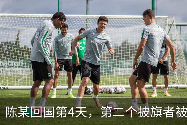 陈某回国第4天，第二个披旗者被揪了出来，现形后想销号跑路