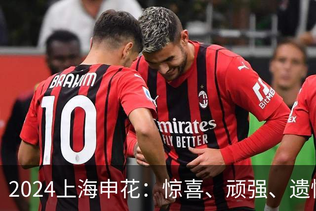 2024上海申花：惊喜、顽强、遗憾--明年拿冠军