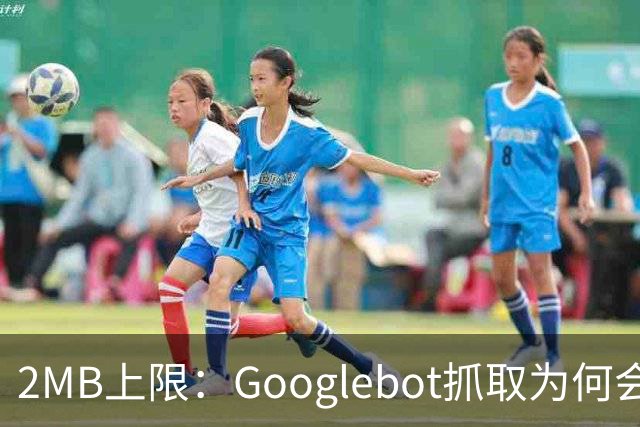 2MB上限：Googlebot抓取为何会漏掉你的内容？